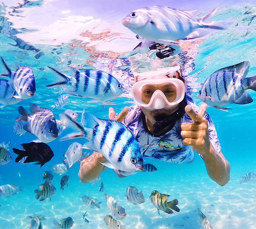 Snorkelling at Tenggol Island