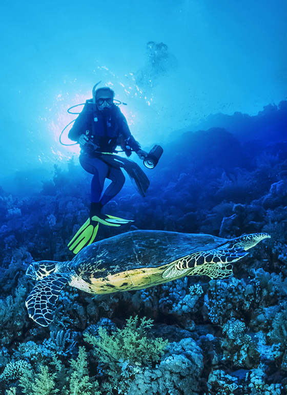 1 Day Fun Dive
