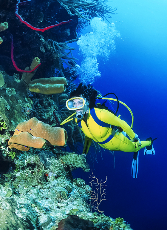 2 Day Fun Dive
